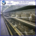 alibaba china chicken equipment for layer/chicken eggs farm